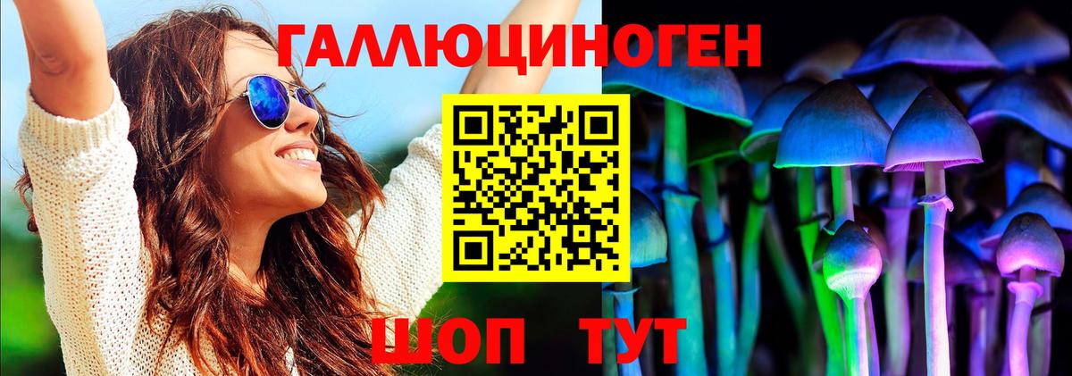 Псилоцибиновые грибы Psilocybe  дарнет шоп  Волгодонск  Вход с VPN 